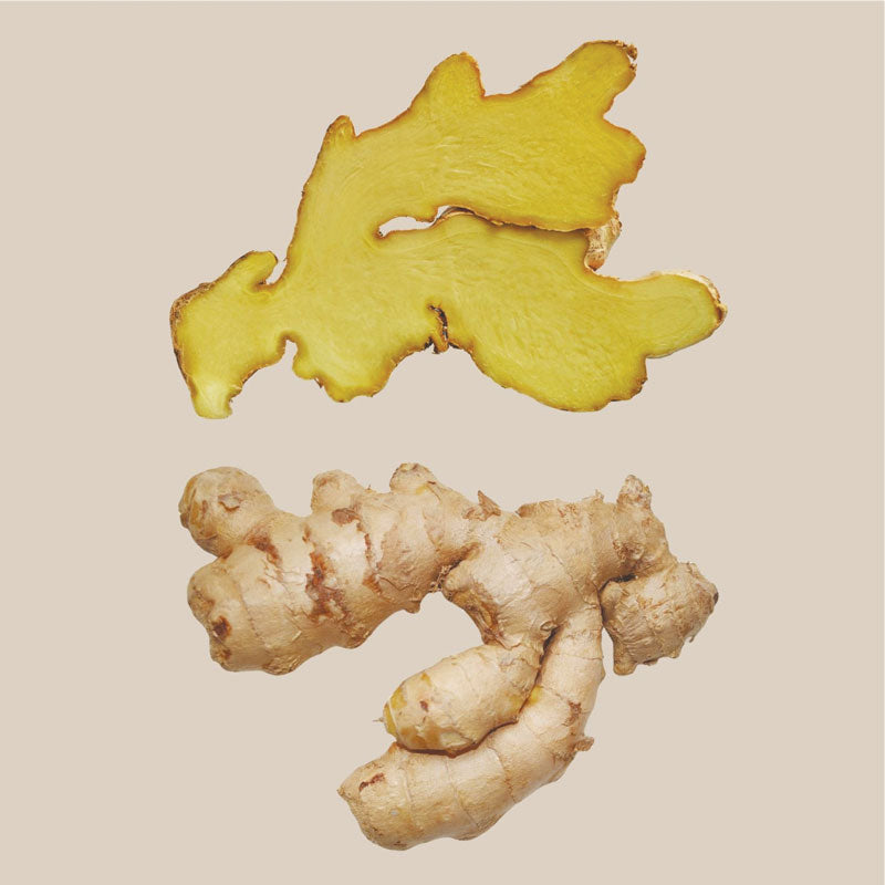 What Is a Ginger Bug — And How to Make One at Home