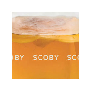 SCOBY 🍄