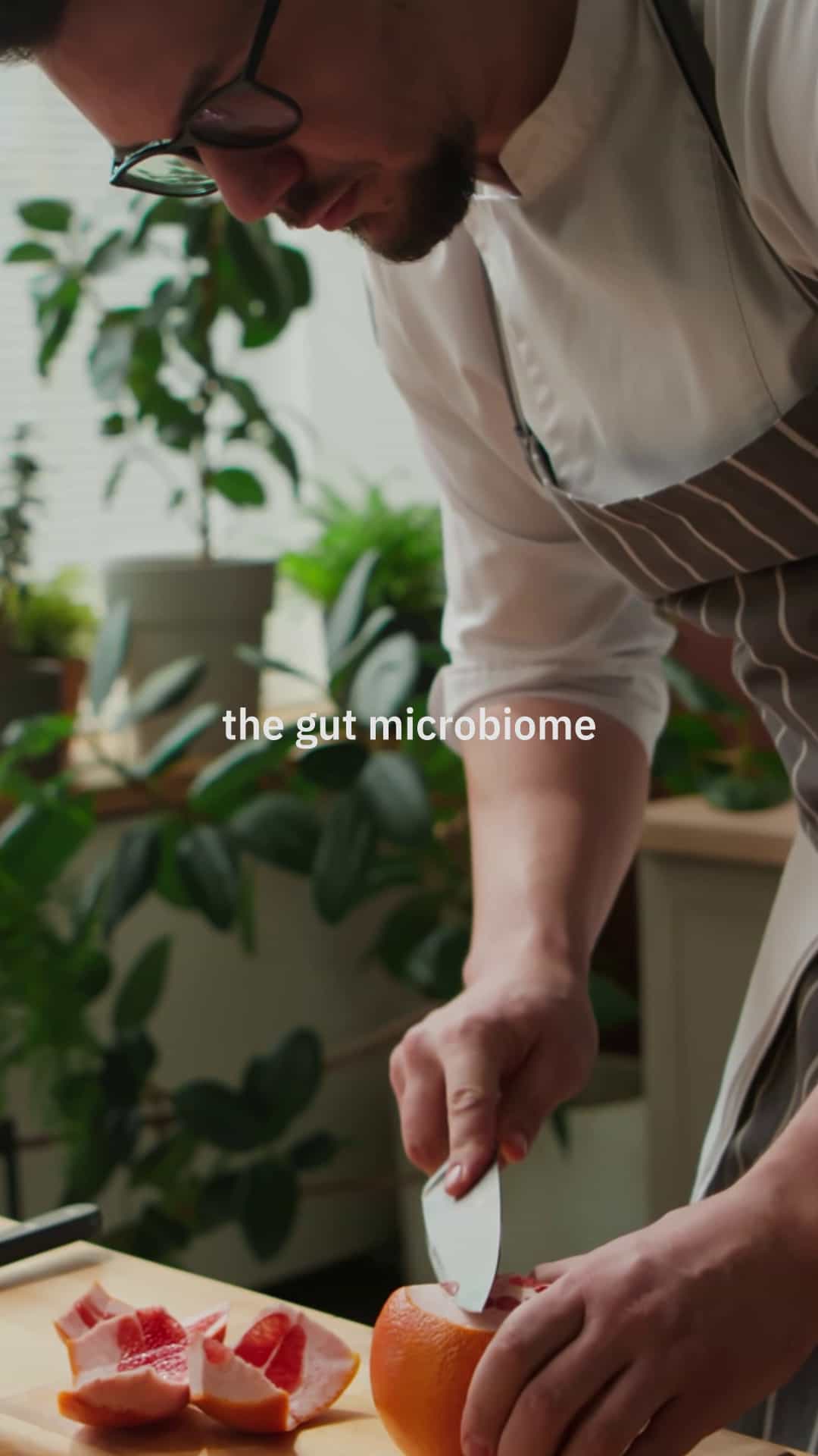 fermented food microbiome