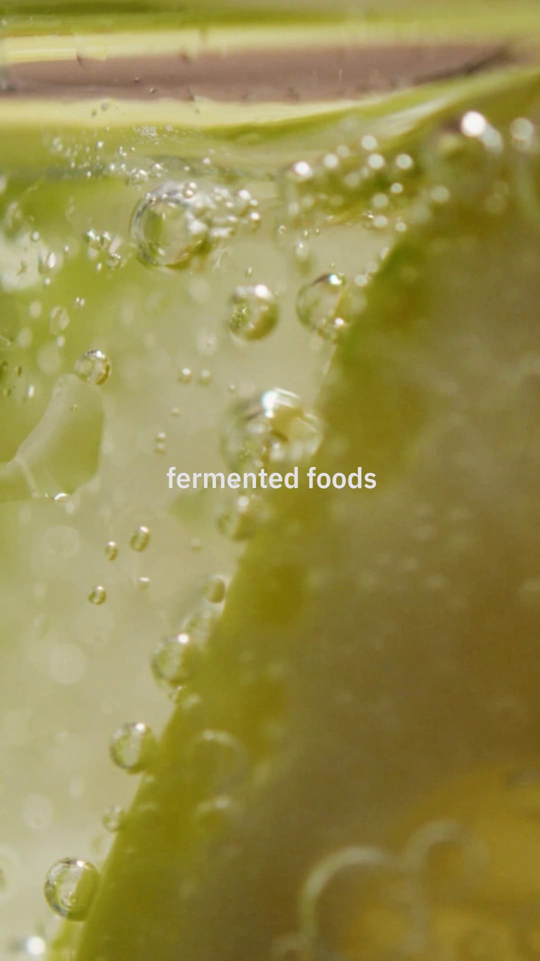fermented food