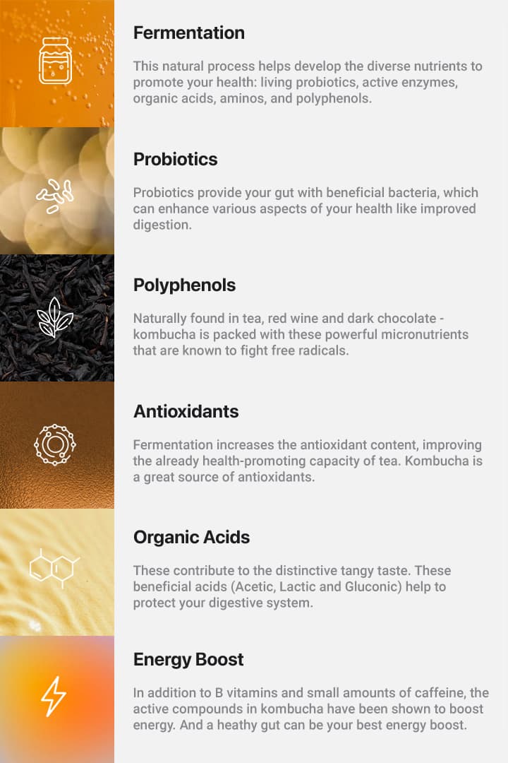 kombucha health