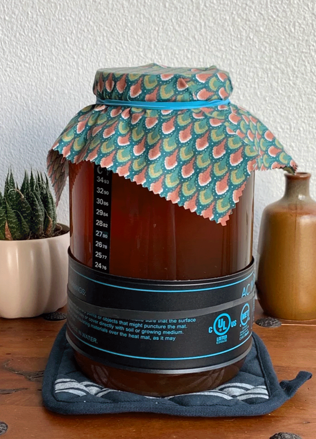 kombucha-bloopers-02.gif